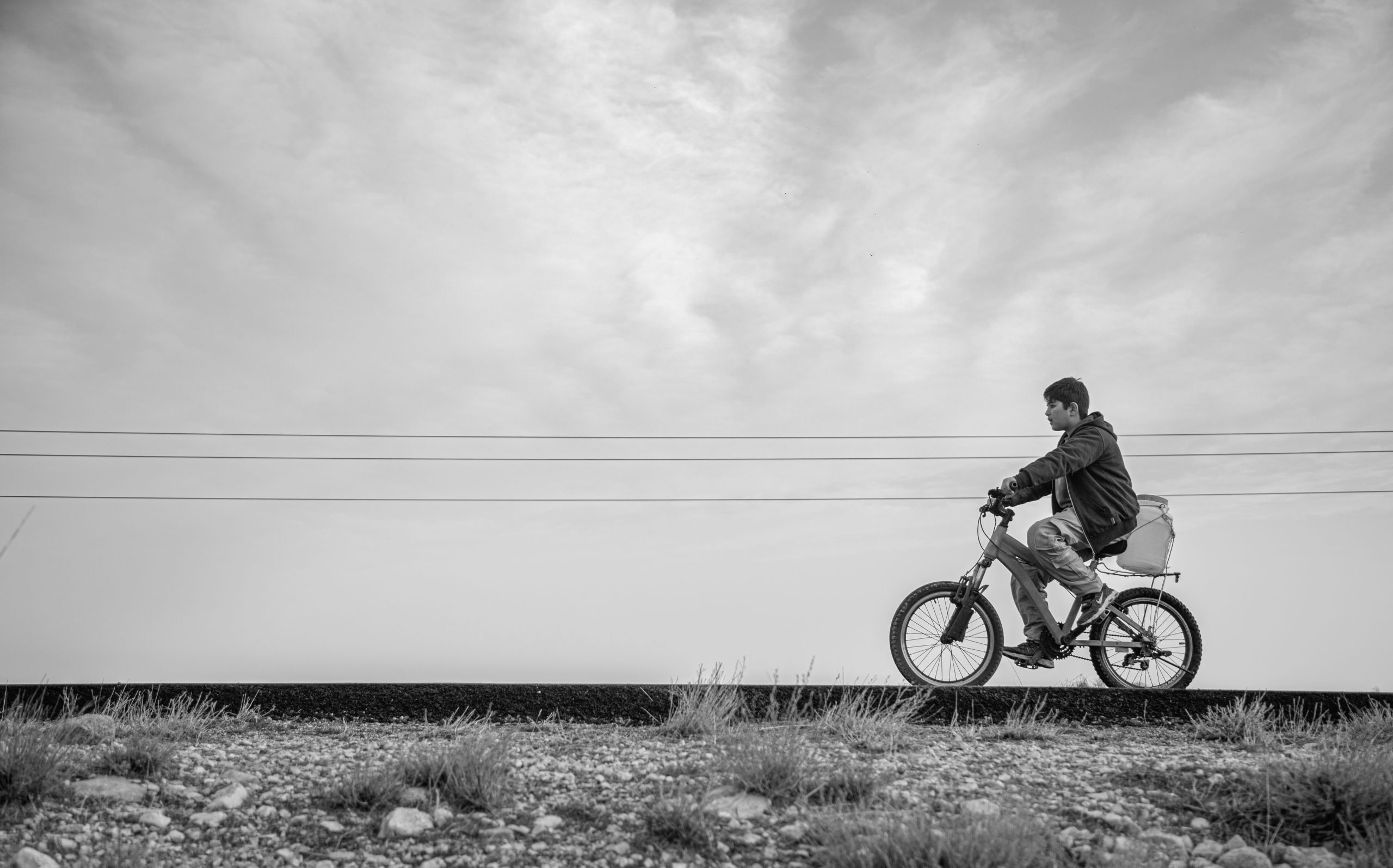 Damji/Éiru: Reviewed by Laura MacGregor